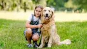 Golden Retrievers: 7 Compelling Reasons Why They Are Ideal Family Dogs for Children
