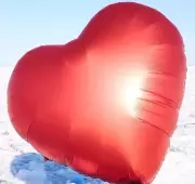 Haryana Heart Attack Crisis: 8 Young Adults Die Daily, No Covid Link Study