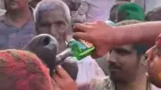 Haryana Police File FIR After Viral Video Shows Buffalo Forced to Drink Alcohol