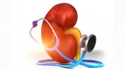 High Blood Pressure: The Silent Kidney Threat You Can't Ignore