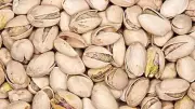 How to Grow a Pistachio Plant at Home: A Complete Guide for Gardeners