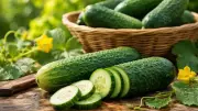 How to Identify and Avoid Bitter Cucumbers Before You Slice Them