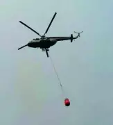 IAF Helicopters Drop 1.62 Lakh Litres to Contain Arunachal Forest Fire