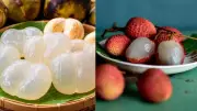 Ice Apple vs Litchi: A Detailed Comparison of India's Favorite Summer Fruits
