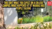 IIT Madras Student's Viral Video: A Peaceful Deer Encounter Captivates Social Media