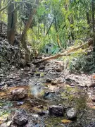 Illegal Hill-Cutting Threatens Historic 17th-Century Spring in Old Goa, Endangering Heritage