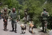 India's Canine Warriors: Four-Legged Heroes on the Frontline