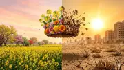 India's Spring Season Vanishing as Climate Change Accelerates Early Heat
