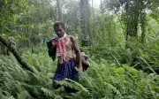 Jadav Payeng: The Man Who Grew a 550-Hectare Forest Single-Handedly