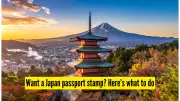 Japan's Automated Immigration Gates: How to Still Get Your Passport Stamp