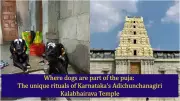 Karnataka's Adi Chunchanagiri Temple: Where Dogs Are Sacred Guardians of Lord Kalabhairava