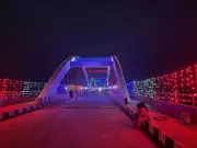 Kerala CM Inaugurates Perumbalam Bridge, Hails LDF Govt's Development Vision