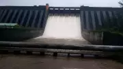 Koyna Dam Increases Water Discharge to Boost Irrigation in Maharashtra