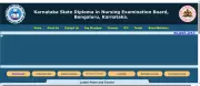 KSDNEB GNM Result 2026 Released: Karnataka Nursing Students Can Check Scores Online