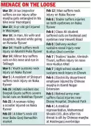 Lucknow Flyovers Become Danger Zones as Hazardous Kite String Claims Life, Injures 21