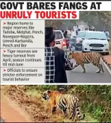 Maharashtra Tiger Reserves to Tighten Visitor Rules After Tadoba Incident