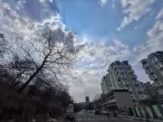 Maharashtra Weather Alert: Thunderstorms Forecast for Several Districts, Pune City Spared