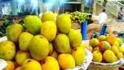 Mancurad Mango Prices Drop to Rs 3,000 per Dozen in Goa, Yet Remain High for Buyers