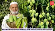 Meet India's 'Mango Man': One Tree Bears Over 350 Unique Varieties