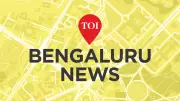 Midnight Livestock Heist in Bengaluru Village: Four Thieves Steal Sheep, Goat, and Chickens