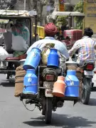 Milk Prices in Jalandhar to Increase by Rs 5 per Litre from April 1