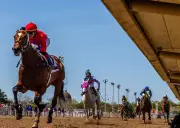 Mumbai Racing Season Concludes with Cursetjee Dhunjishaw Salver Feature Race