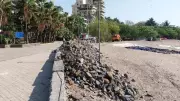Mumbai's Carter Road Cleanup: Volunteers Remove 250 kg of Marine Litter