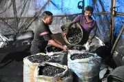 Mumbai's Charcoal Demand Surges Amid LPG Shortage, Prices Double