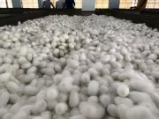 Mysuru Silk Park Budget Announcement to Revitalize Sericulture Sector