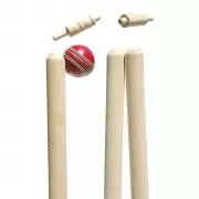 Nagaland U-23 Cricket Team Secures Victory in National Tournament