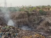 Noida's Horticulture Waste Crisis: Fires and Health Hazards Plague Residents