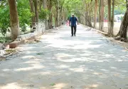 Orissa High Court Halts Concrete Paving at Satyabrata Stadium Walking Track