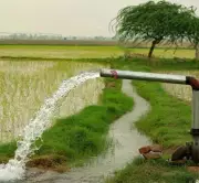 Parliamentary Panel Alarms Over Punjab's Depleting, Contaminated Groundwater