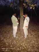 Pench Tiger Reserve Deploys AI System to Prevent Human-Wildlife Conflict