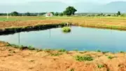 Puducherry Government Proposes Rs 496.73 Crore Restoration of 78 Irrigation Tanks