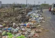 Pune MLAs Slam Civic Body Over Garbage Crisis, Stray Dog Menace in Assembly