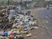 Pune Woman Severely Injured in Stray Dog Attack, Residents Demand Action