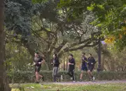 Rabindra Sarovar: Kolkata's Evolving Urban Oasis Where Community Thrives