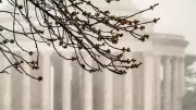 Severe Storm Forces Washington D.C. Area Schools to Alter Schedules for Safety