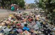 Shiv Sena Leader Decries Phagwara's Waste Management Crisis, Calls for Action