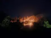 Similipal Tiger Reserve Cuts Forest Fires Drastically with AI and Drones