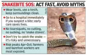 Snakebite Crisis in Coastal Karnataka: Doctors Warn Against Myths and Delays