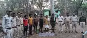 Sniffer Dog Cracks Nilgai Poaching Case in Chhattisgarh, Leads to Six Arrests