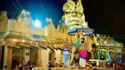Sri Cheluvanarayana Swamy Rathotsava Celebrated with Grandeur in Melkote, Mandya