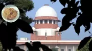 Supreme Court Dismisses Plea in Tirumala Laddu Misinformation Case