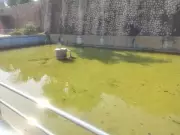 Talkatora Garden's Mughal-Era Charm Fades as Heritage Structures Fall into Disrepair