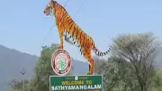 Tamil Nadu Govt Uncovers 42 Illegal Resorts in Sathyamangalam Tiger Reserve