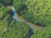 Tamil Nadu Pioneers High-Tech Blue Carbon Mapping with Drones and AI