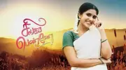 Tamil TV Serial Singappenne Crosses 545 Episodes, Captivates South India