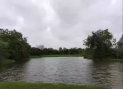 Telangana Declares Gurramguda Forest as Reserve, Ending Years-Long Legal Battle